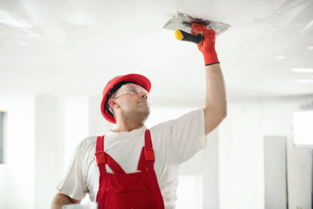 Best Ceiling Drywall Installation  in Pce, LA